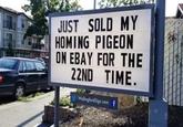 JUST SOLD MY HOMING PIGEON ON EBAY FOR THE 22ND TIME.