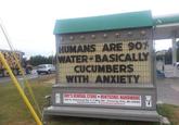HUMANS ARE 90% WATER BASICALLY CUCUMBERS WITH ANXIETY. ROY'S GENERAL STORE HENTSCHEL HARDWARE 963 E. Hammond Rd. 3 Mile Rd. Traverse City, Mi. 49686 facebook.com/RoysGeneralStore