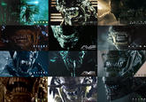 LIEN LIEN ALIEN COVENANT AVP ALIEN VS. PREDATOR ALIEN ROMULUS V ALIENS VS PREDATOR ALEN EARTH LIEN 3 ALIENS VS PREDATOR ALIEN EARTH