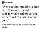 lostchips "We're adults, but, like...adult cats. Someone should probably take care of us, but we can sort of make it on our own." - my roommate, on the question "are we adults"