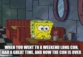 WHEN YOU WENT TO A WEEKEND LONG CON, HAD A GREAT TIME, AND NOW THE CON IS OVER