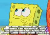 DO PEOPLE ACTUALLY LEARN THAT THE MITOCHONDRIA IS THE POWERHOUSE OF THE CELL FROM SCHOOL OR FROM MEMES MAKING FUN OF SCHOOLS TEACHING STUDENTS USELESS INFORMATION? imgp.com
