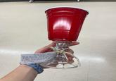 PROCEED TO PARTY Y'ALL! This cup has a LONG hiSTORY WITH TAILGATERS AND PARTIERS EVERYWHERE. THERE ARE EVEN SONGS ABOUT cup. Now Y'ALL'S PRODUCTS has KiCKED IT UP & KNOC By TURNING a SimPLE CUP INTO & WINE GLASS FOR US MORE SOFISTICATED REDNECKS. GIT U ONE Hand Wash yallsproduct Made by Americans with disabili