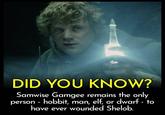 DID YOU KNOW? Samwise Gamgee remains the only person - hobbit, man, elf, or dwarf - to have ever wounded Shelob.