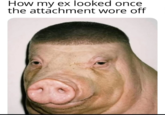 A meme using the ai buzz cut pig. The meme is about how an ex looks when the attachment wears off.