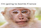 I'm going to bomb France