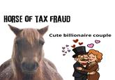 HORSE OF TAX FRAUD Cute billionaire couple