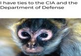 I have ties to the CIA and the Department of Defense