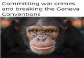 Committing war crimes and breaking the Geneval Conventions