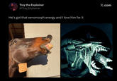 Trey the Explainer @Trey_Explainer He's got that xenomorph energy and I love him for it X.com
