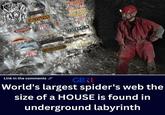 BLACKMOOK GREYHAWK 657 MYSTARA RED STEEL JAKANDOR HOLLOW WORLD Ravenloff Council of IRTHRIGAT THUNDER RIFT Wyrms MEIST NENTIR VALE ragonjance CORGOTTEN REALIS Al-Qabine EBERRON Kara Ti The East Link in the comments GBN World's largest spider's web the size of a HOUSE is found in underground labyrinth