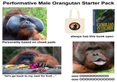 Performative Male Orangutan Starter Pack Personality based on cheek pads RC NATIONAL DES VIRU République Di GORILIAS INTHEMIST GORILIAS INTHEMIST Dian Fossey always has this book open "let's go back to my nest for fruit..." ooo 0000000000 ooo 000000000000