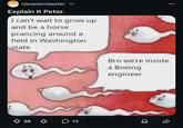 r/explainitpeter 1h Explain It Peter. I can't wait to grow up and be a horse prancing around a field in Washington state ↑ 26 ♡ 13 Bro we're inside a Boeing engineer