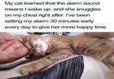 My cat learned that the alarm sound means I wake up. and she snuggles on my chest right after. I've been setting my alarm 30 minutes early every day to give her more happy time