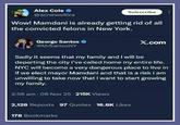 Alex Cole → @acnewsitics Subscribe Wow! Mamdani is already getting rid of all the convicted felons in New York. George Santos → @MrSantosNY X.com Sadly it seems that my family and I will be departing the city I've called home my entire life. NYC will become a very dangerous place to live in if we elect mayor Mamdani and that is a risk I am unwilling to take now that I want to start growing my family. 2:56 am - 06 Nov 25.215K Views 2,128 Reposts 97 Quotes 16.8K Likes 178 Bookmarks