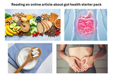 Reading an online article about gut health starter pack