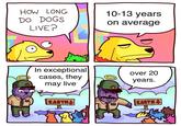 HOW LONG DO DOGS LIVE? 10-13 years on average In exceptional cases, they may live over 20 years. EARTH EARTH