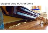 biggest drug bust of 2018