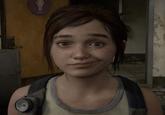 The original "Ellie Smirk" image, used a "reaction image":https://knowyourmeme.com/memes/reaction-images and "exploitable":https://knowyourmeme.com/memes/exploitables on social media. It shows "_The Last of Us_":https://knowyourmeme.com/memes/subcultures/the-last-of-us "video game":https://knowyourmeme.com/memes/cultures/gaming character Ellie Williams smirking and looking directly at the viewer. 