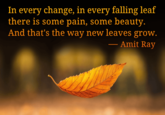 In every change, in every falling leaf there is some pain, some beauty. And that's the way new leaves grow. Amit Ray -