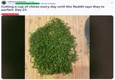 A Reddit post titled, "Cutting a cup of chives every day until this Reddit says they’re perfect. Day 23."
