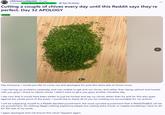 r/KitchenConfidential. 3d ago F1exican Chive Mountbatten-Windsor Top 1% Poster Cutting a couple of chives every day until this Reddit says they're perfect. Day 32 APOLOGY CHIVE Hey everyone. I would just like to come out and apologize for post the same pile of chives twice, I was having car problems yesterday and was unable to get and cut chives, and rather than being upfront and honest with you guys I chose to repost chives. I didn't want to give you guys another chiveless day. I see now that it would have been better to just be honest and say no chives rather than try and lie, this also goes against the whole point of the posts, I would like to thank all of you for holding me accountable for my actions. I will be subjecting myself to a Reddit decided punishment, the most upvoted punishment that is REASONABLE will be my punishment. So nothing illegal nothing expensive please but cutting extra chives or maybe something I have to do for the rest of my posts. I again apologize and will ensure this never happens again.