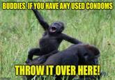 BUDDIES, IF YOU HAVE ANY USED CONDOMS ingillip.com THROW IT OVER HERE!