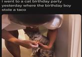 i went to a cat birthday party yesterday where the birthday boy stole a taco