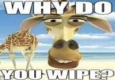 WHY DO YOU WIPE?
