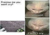 Promise me you won't cry? I promise Add Hier ruhen 115 deutsche und 199 russische Soldaten dem Weltkrieg 1914-1518 Sie starben ihr Vaterlan I won't cry....