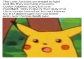 The Lore: Astartes are meant to fight and die, they are living weapons. Codex Astartes: Every battle is important. Only in death does duty end. Ultramarines fans when Named Marine No. 617 doesn't get the most bolter p---, over the top death ever: