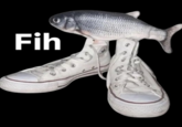 A Fih "meme":https://knowyourmeme.com/memes/memes showing a fish wearing Converse high-top sneakers.