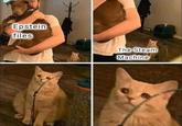 Epstein files The Steam Machine