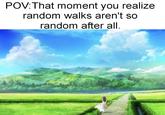 POV: That moment you realize random walks aren't so random after all.