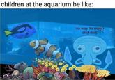 children at the aquarium be like: no way its nemo and dory