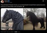 A tweet sharing two photos of Friesian horses. The tweet reads, "The all black Friesian horse, an ancient Dutch breed that nearly became extinct on more than one occasion 🗡️."