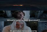 What's going on, Gandalf? A gender reveal party @danklotrmemes