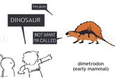 hey guys DINOSAUR mg.com NOT WHAT I'M CALLED 7 dimetrodon (early mammal)