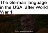 The German language in the USA, after World War 1: Gone. Reduced to atoms.