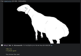 File: goat.png (20 KB, 1300x800) Why? Mr. V. Ainsworth 11/14/25(Fri)14:16:44 No.83108238 >Be me >Turkish goat You know the rest