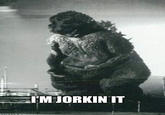 I'M JORKIN IT