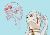 An edit of a bad Frieren drawing. The drawing imagines what her skull might look like.