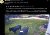 claire^2 @evilgeckowo. 4h normal people: "hey man how's it going? this guy: O Dr. Ricardo Duchesne @dr_duchesne. 1d I am starting to notice that cows are interacting more with whites as if aware that whites are being replaced ---------- and they worry that other races will not show the same moral responsibility and caring for COWS. 2025-07-24 Thursday 17:49:45 Q 0:55 HDIP