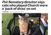 Pet Sematary director says cats who played Church were a 'pack of divas' on set By Clark Collis March 29, 2019 at 01:43 PM EDT