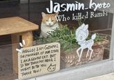 Jasmin kyoto Who killed Bambi HELLO! IAM GENMAI THE MANAGER OF OUR STORE I AM A GENTLE CAT. BUT IF YOU TOUCH MY HEAD, I MIGHT BITE YOU. THANK YOU!