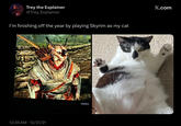 Trey the Explainer @Trey Explainer I'm finishing off the year by playing Skyrim as my cat 12:36 AM 12/31/21 VIZIO X.com