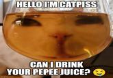 HELLO I'M CATPISS CAN I DRINK YOUR PEPEE JUICE? imgflip.com