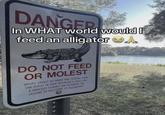DANGER In WHAT world would I feed an alligator A DO NOT FEED OR M----- GATORS CANNOT BE TAMED AND FEEDING THEM CAN RESULT IN THEM MISTAKING A HAND FOR A HANDOUTI FLORIDA LAW PROHIBITS THE FEEDING OR MOLESTING OF ALLIGATORSI