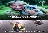 COVERED GEEKLY STEVE IRWIN DAY IS OFFICIALLY TODAY, NOVEMBER 15TH DATES / DAYS I'll never forgive the stingrays!