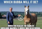 WHICH BUBBA WILL IT BE? VS WHEN YOU REALIZE THE NAME OF GHISLAINE MAXWELL'S HORSE WAS ALSO BUBBA